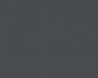 купить A.S.Creation Pandora 299574