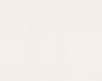 купить A.S.Creation Spot 2 938619