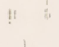 купить A.S.Creation Dekora Natur 5 897435