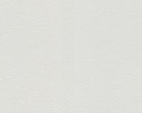 купить A.S.Creation Meistervlies 4 1038-19 / 5747-18