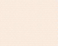 купить A.S.Creation Esprit 13 35819-2