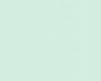 купить A.S.Creation Esprit 12 32766-3