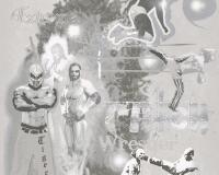 купить A.S.Creation Dekora Natur 5 704726