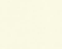 купить A.S.Creation Meistervlies 3 300119