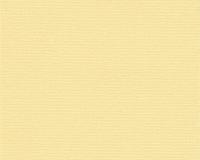 купить A.S.Creation Fioretto 2 957256