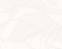 купить A.S.Creation Streamline 291516