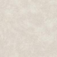 купить Rasch Metal Spirit 2016 588323