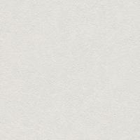 купить Rasch Home Vision 6 433753