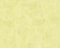 купить A.S.Creation Used Look 224149