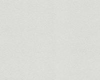 купить A.S.Creation Maistervlies 2020 31101-6