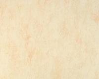 купить A.S.Creation Styleguide Natuerlich 743824