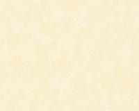 купить A.S.Creation Colourful 150035