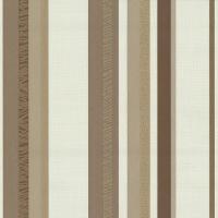 купить P+S International Novara 2 13467-60