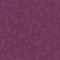 купить P+S International Jackpot 02316-90