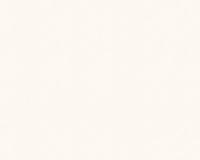 купить A.S.Creation Maistervlies 2020 35064-1