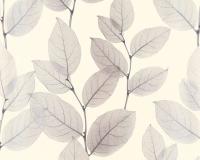 купить A.S.Creation X-Ray 34247-2