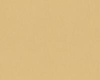 купить A.S.Creation Versace 3 34327-5