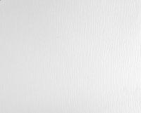 купить A.S.Creation Meistervlies Pro 2 517616