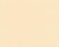 купить A.S.Creation Duetto 854636