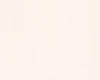 купить A.S.Creation Esprit 9 94154-2