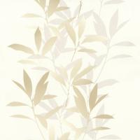 купить P+S International Dieter Bohlen - It's different 13330-50