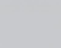 купить A.S.Creation NAF NAF 954558