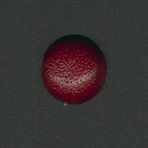 купить Marburg Colani 76994