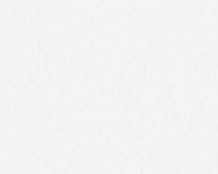 купить A.S.Creation Maistervlies 2020 95341-4