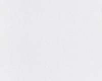 купить A.S.Creation Maistervlies 2020 24831-2