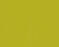 купить A.S.Creation Meistervlies 5 3091-74