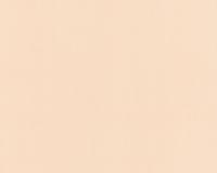 купить A.S.Creation Schoner Wohnen 114624