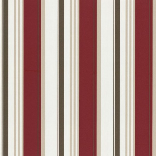купить P+S International Delight 03883-30