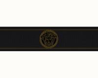 купить A.S.Creation Versace Wallpaper 935224