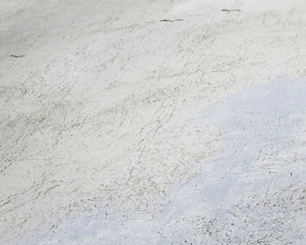 фото A.S.Creation History of Art 37649-3