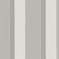 купить P+S International Young Spirit 2015 05602-60