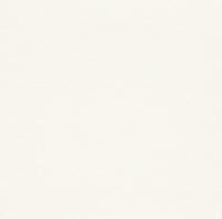 купить Rasch Cosy White 2015 269245