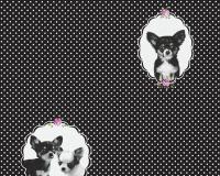 купить A.S.Creation Little Stars 35851-2