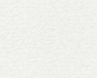 купить A.S.Creation Schoner Wohnen 5 944818