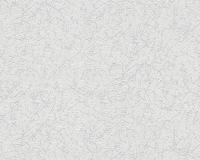 купить A.S.Creation Maistervlies 2020 26561-6