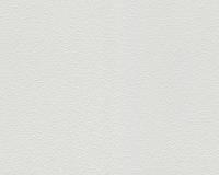 купить A.S.Creation Meistervlies 4 1041-13 / 5752-10