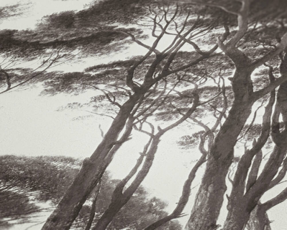 фото A.S.Creation History of Art 37651-1