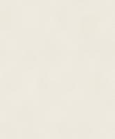 купить Rasch Diamond Dust 2016 903249 (450644)