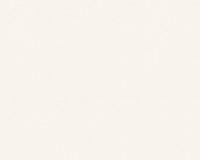 купить A.S.Creation Maistervlies 2020 35773-1