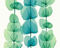 купить A.S.Creation X-Ray 34245-4