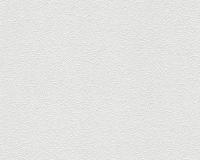 купить A.S.Creation Meistervlies Protect 2 260413