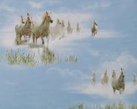 купить A.S.Creation Decora Natur 4 941312