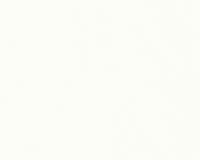 купить A.S.Creation Change 124418