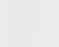 купить A.S.Creation Meistervlies 4 2483-12 / 2484-11