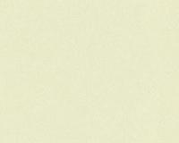 купить A.S.Creation Meistervlies 3 300126