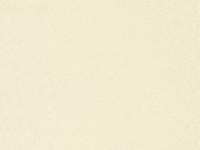 купить A.S.Creation Serenade 914910